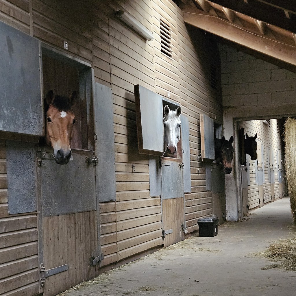 Trainingslager Ostern 2026